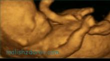 17. gebelik haftası: fetal gelişim ve kadının duyguları