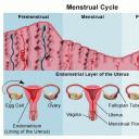 Când încep menstruația după naștere în timpul alăptării?