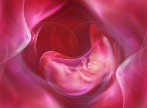 Hipoxia fetal aguda y crónica: síntomas, consecuencias para el niño, tratamiento Hipoxia fetal durante el tratamiento del embarazo en el hogar.