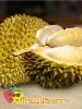 Durian: nerede yetişir, nasıl kokar, nasıl sürer, ne işe yarar