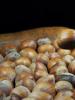 Typer och egenskaper hos feta nötter