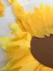 Meșteșuguri din hârtie ondulată: hârtie DIY floarea soarelui Floarea soarelui din nuci și hârtie ondulată