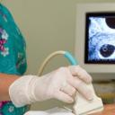 Cum se numește o ecografie în timpul sarcinii: în ce stadiu se face? Ce tipuri de ecografii există în timpul sarcinii?